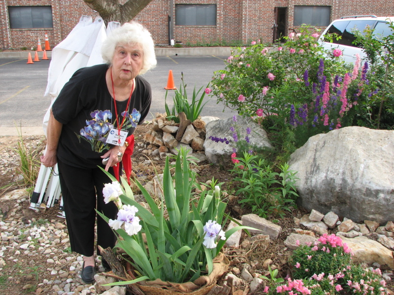 Nelda Moore admires a special potted iris in the Bannockburn Church Garden